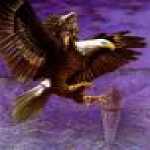 thumb_1155 (Medium).jpg